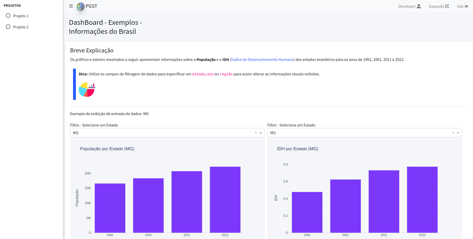 Tela do Portal com Dashboard 2